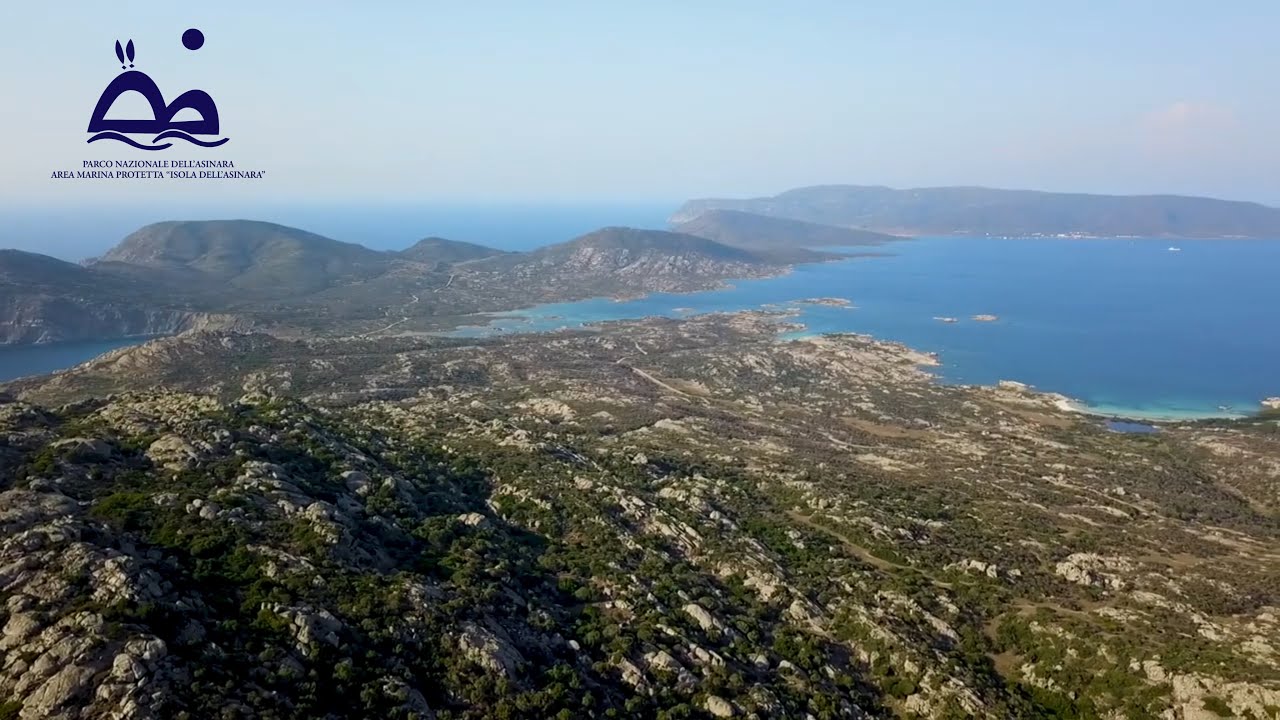Asinara, il cambio della guardia