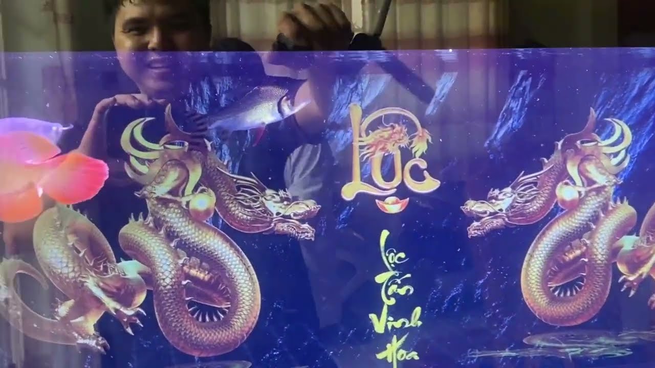 Giao hồ về Tây Ninh