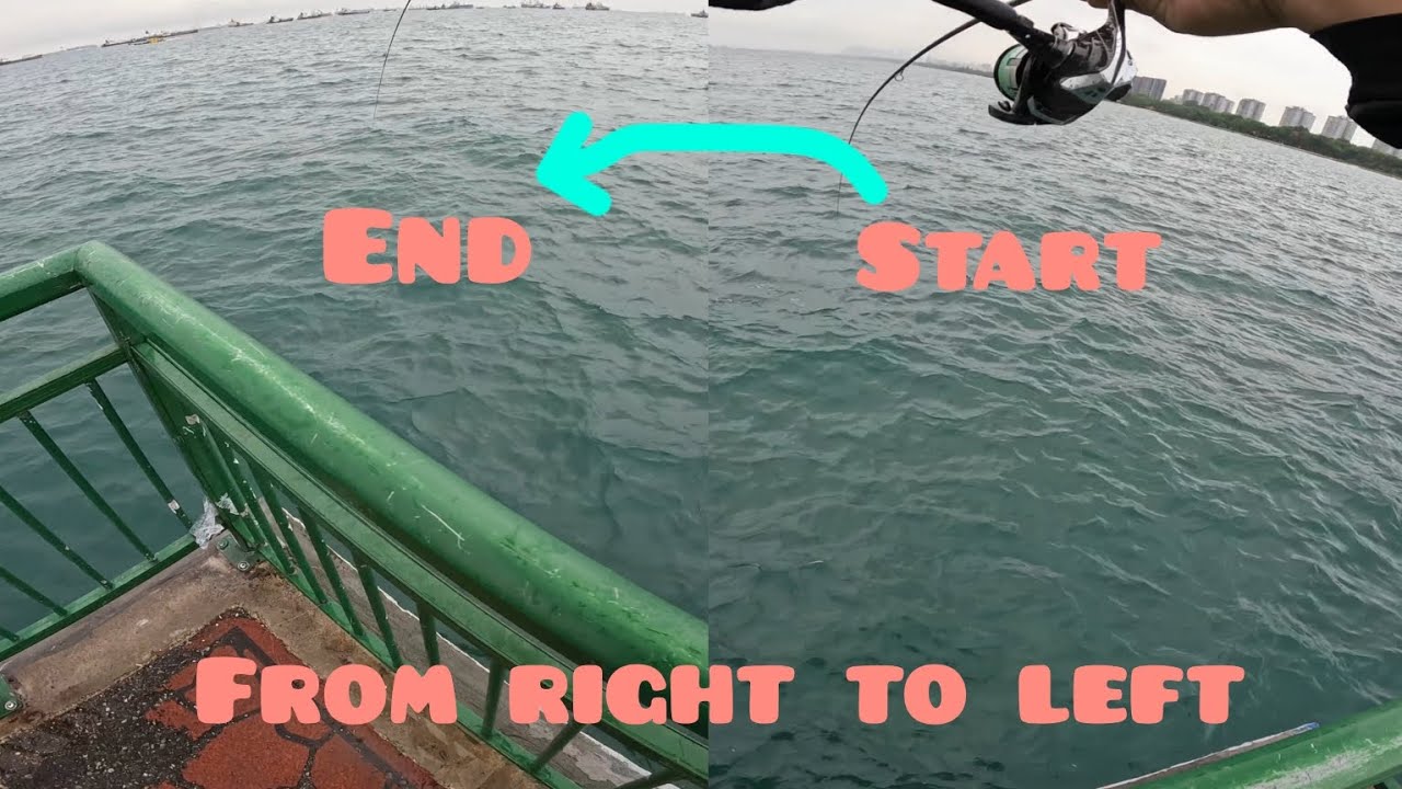 One of the better days at Bedok Jetty ep3 | Singapore Fishing |