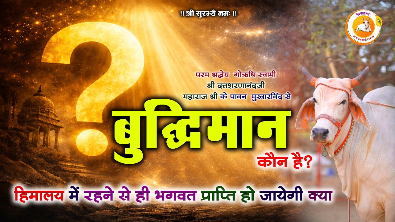 बुद्धिमान कौन है? | क्या हिमालय में रहने से ही भगवान प्राप्त होंगे?  गोऋषि स्वामी पथमेड़ा महाराजश्री