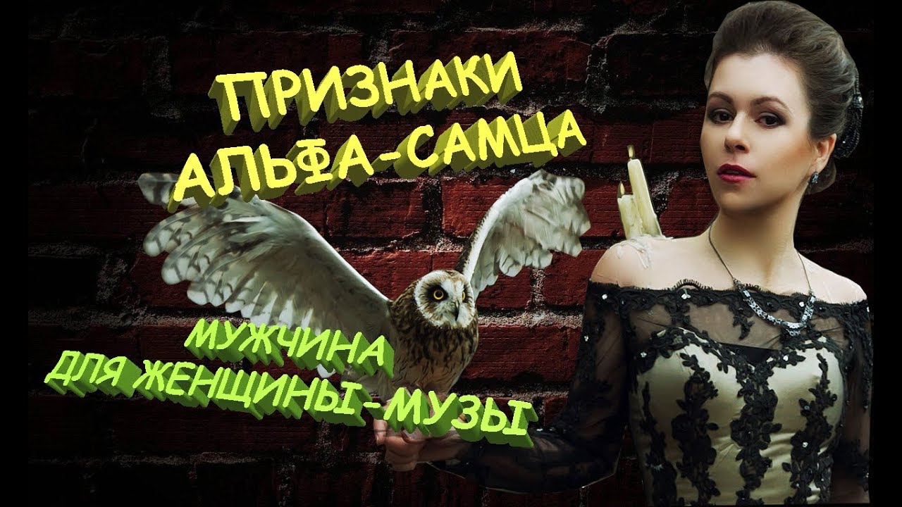 Альфа-самец только для женщины-Музы!😍