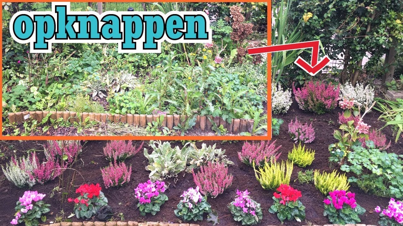 Tuin opknappen (heidetuin): vaste planten kopen