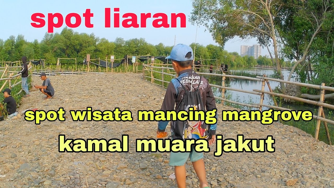 Spot wisata mancing mangrove kamal muara#arkhanpetualang 