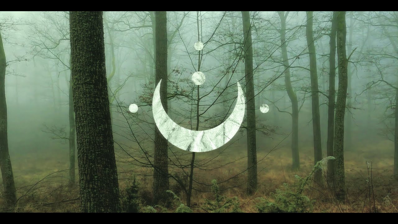 FOXCULT // Haunted (Official Audio)