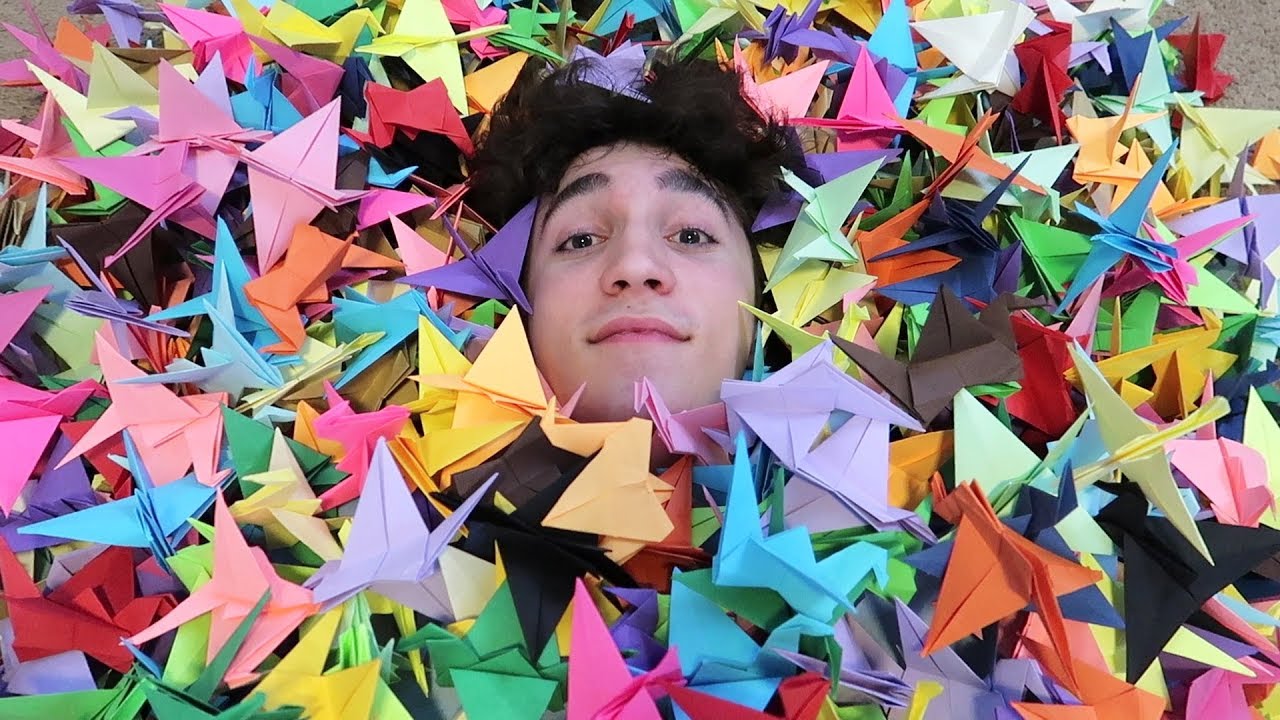 I folded 1,000 origami cranes cause I was bored..
