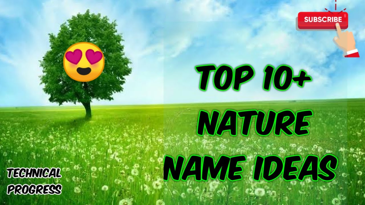 Top 10+ Nature name ideas for startup your business | nature name ideas | nature name blog