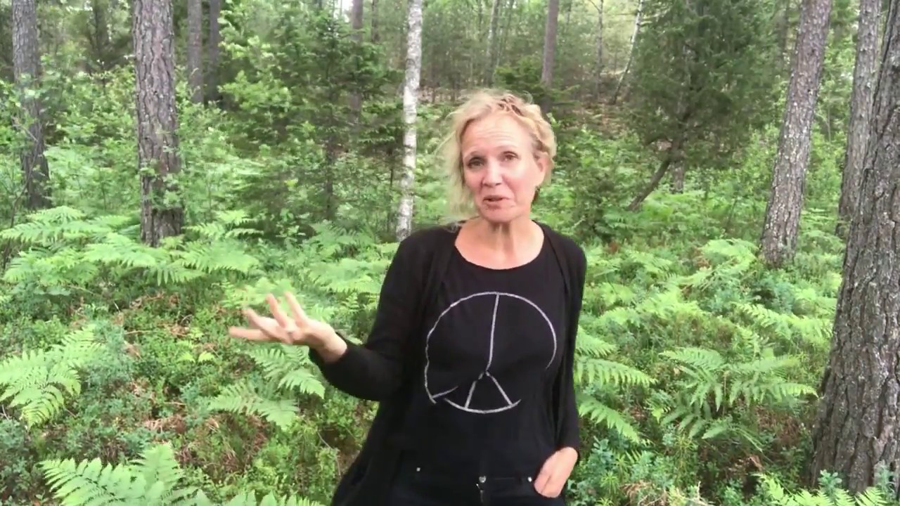 How to transform a Herding song to kulning