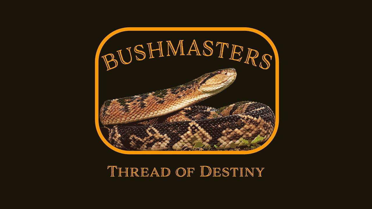 Bushmasters: Thread of Destiny