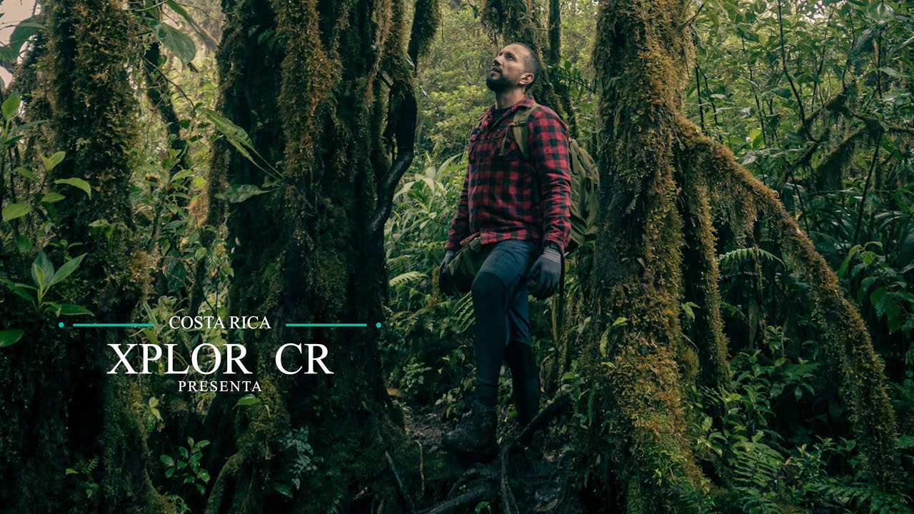 INCURSIONES A LA INHÓSPITA SELVA DEL BRAULIO CARRILLO / COSTA RICA / ACAMPANDO EN HAMACAS