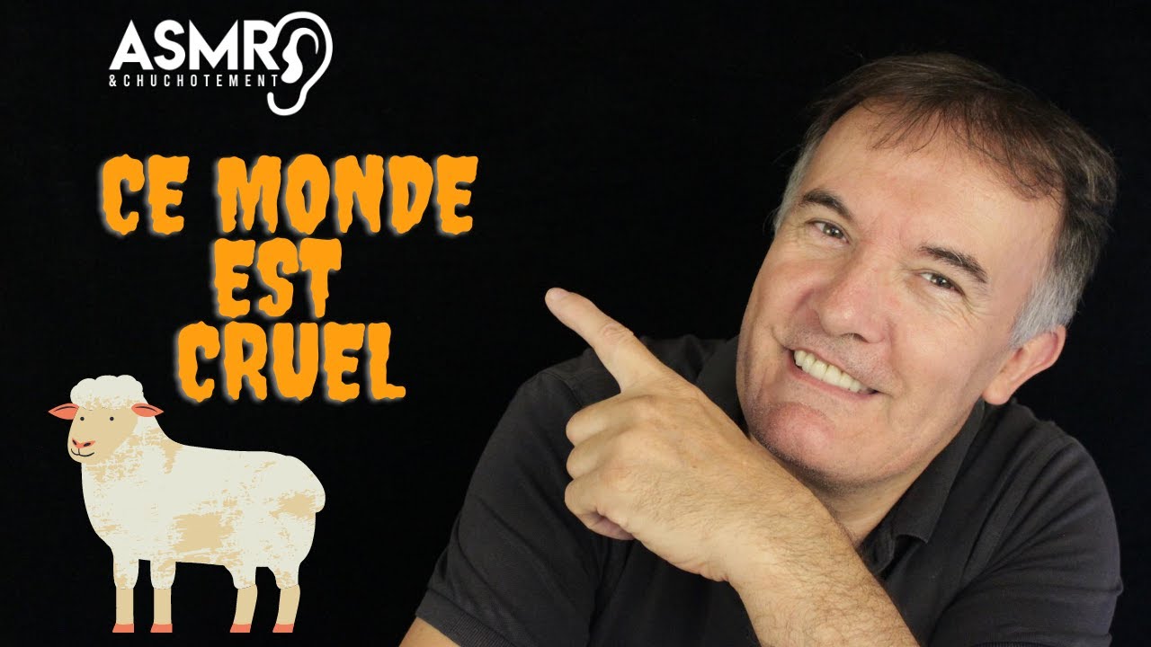 ASMR -  Le monde est cruel -  Une histoire de mouton