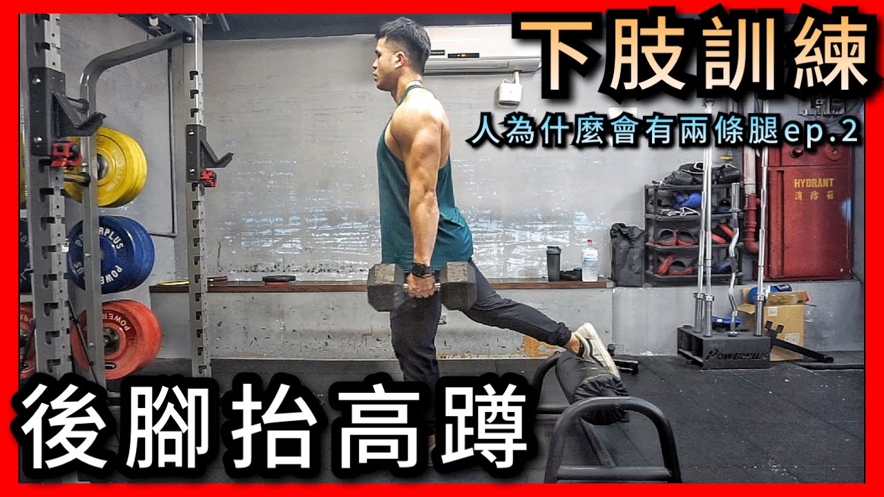 腿部必練！『後腳抬高蹲』『保加利亞分腿蹲』｜每個人的夢魘...#臀腿訓練