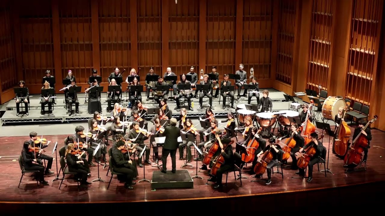 Brahms Symphony No. 3 Mvt 1