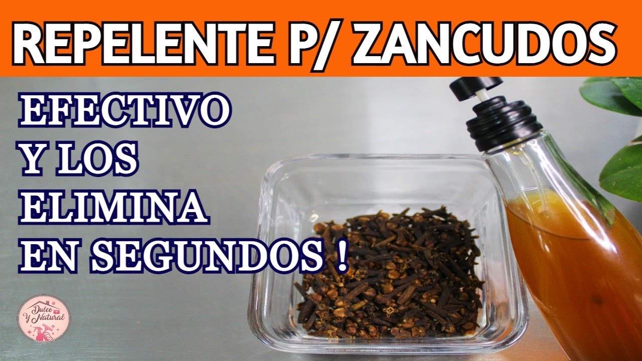 ✨ prot&eacute;gete de los JEJENES, ZANCUDOS Y MOSQUITOS, con este maravilloso REPELENTE  hecho en casa.