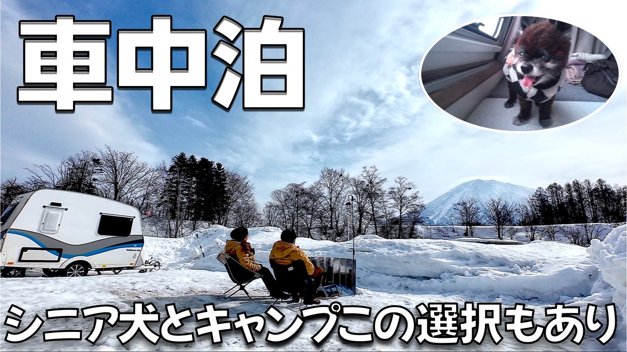 【北海道キャンプ】無理せずご機嫌に。焚き火を存分に楽しめるトレーラー泊！シニア犬と夫婦の安心 雪中キャンプ