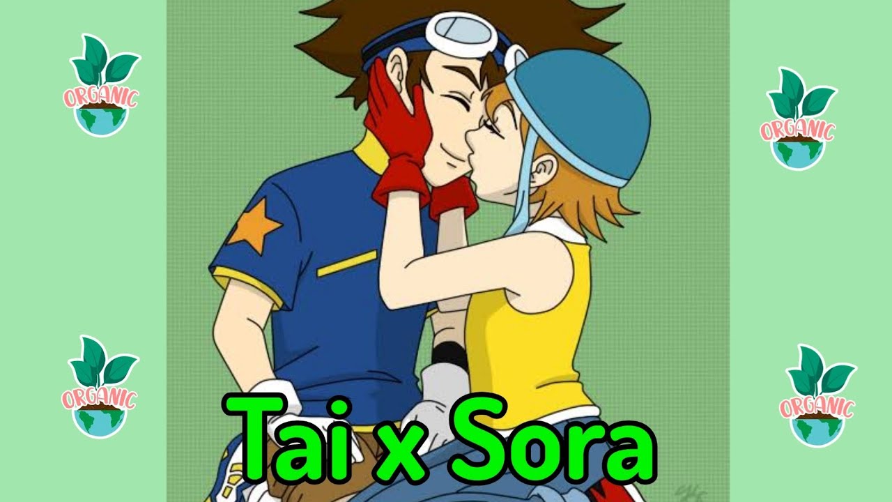 Tai x Sora parte 1 Digimon
