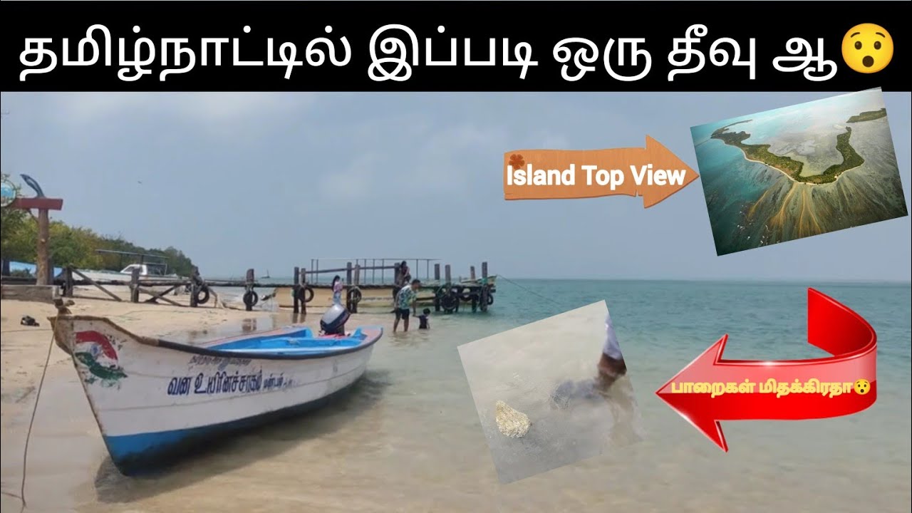 Krusudai Island | 300 ரூபாய்க்கு தீவுக்கு செல்லலாம் | குருசடை தீவு | Pamban Island Rameswaram