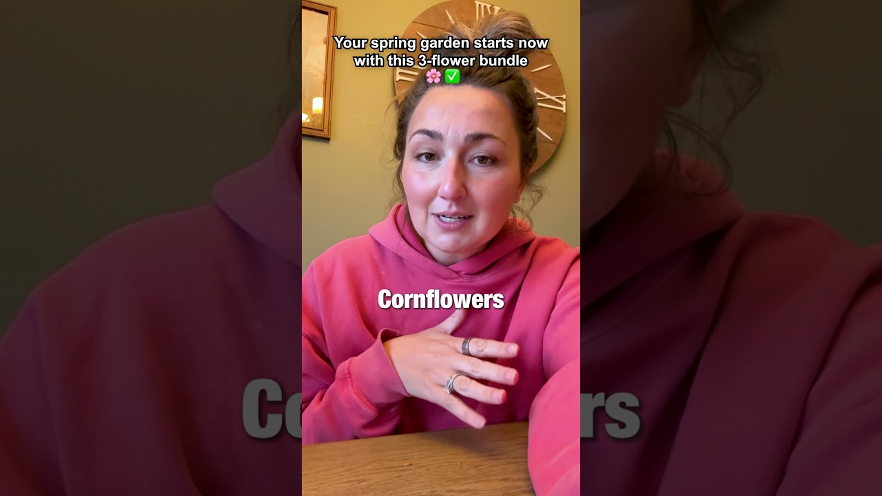 Plant fall beauty now for joyful spring blooms 🍂 Grab yours before they’re gone.