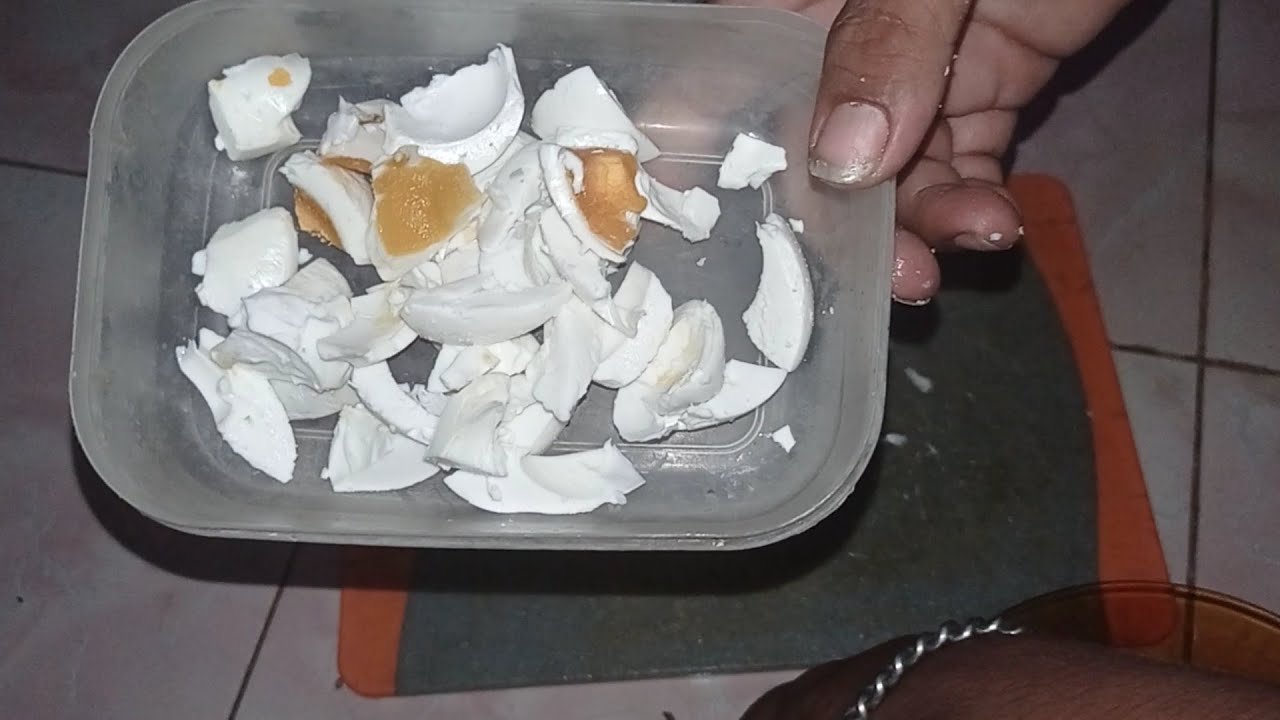 Terbaru 2021 !!! Umpan Jitu Galatama Lele yang masih Jarang Orang Tau Telur Asin mak Yos