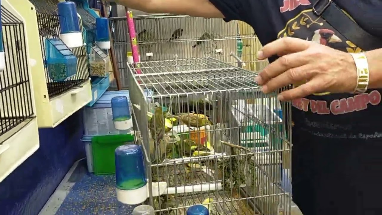 Y más variedad de aves! De la zona de Huelva!