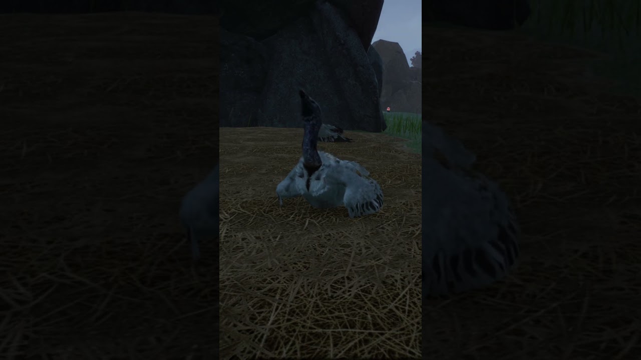 Cape vulture mod for planet zoo 