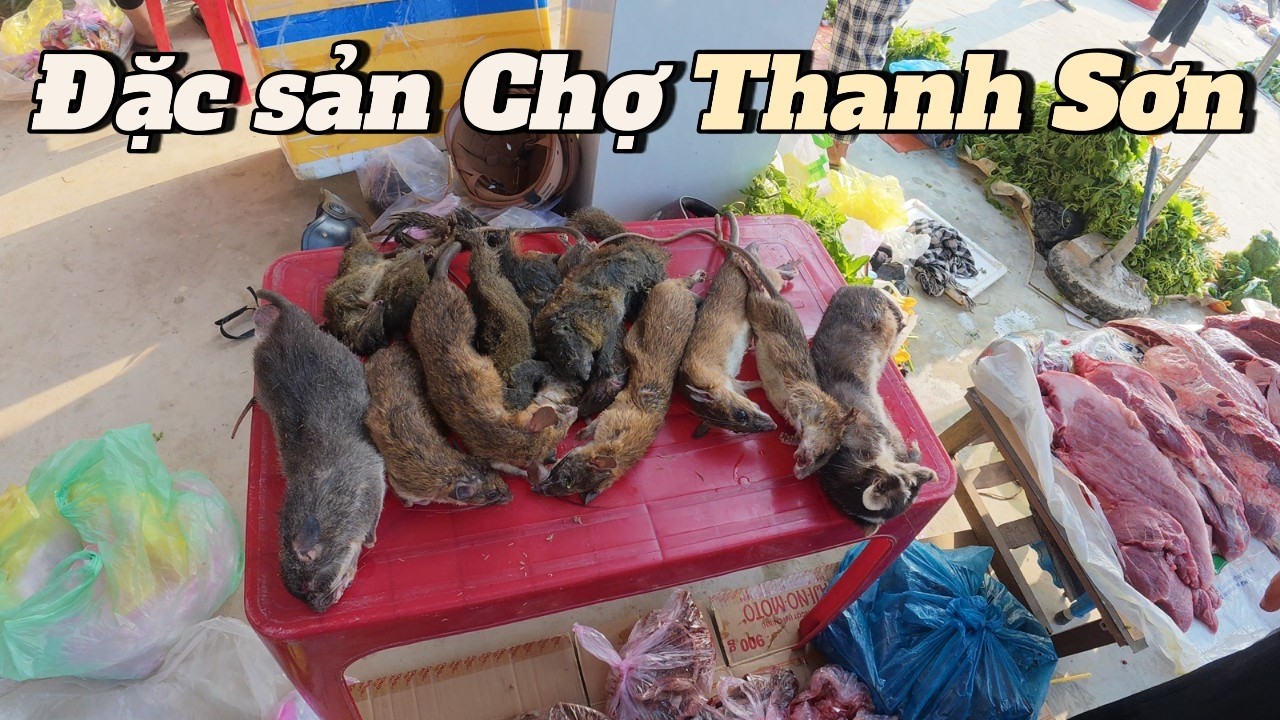 Chợ Tết Người Thái  Thanh Sơn Thanh Chương Nghệ An#vungcaonghean #miennguocxuoi