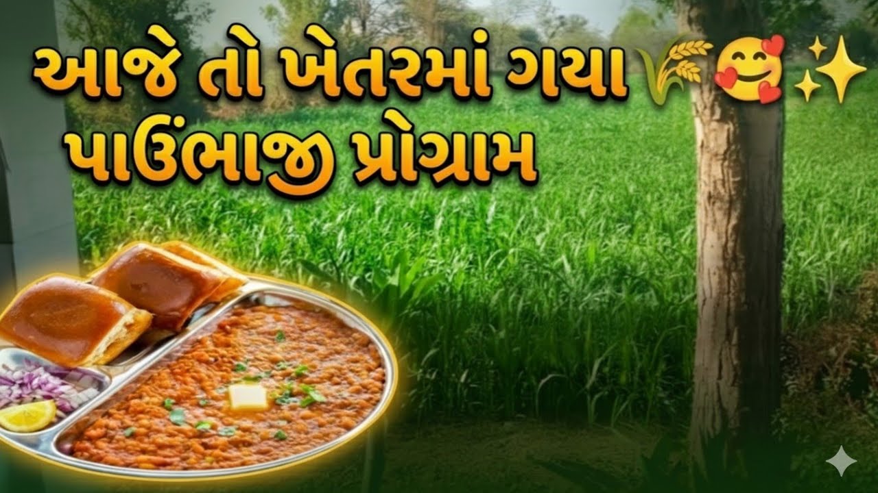 આજે ગયા ખેતરમાં!! આજે ઘરે પાઉંભાજી પ્રોગ્રામ 💞✨