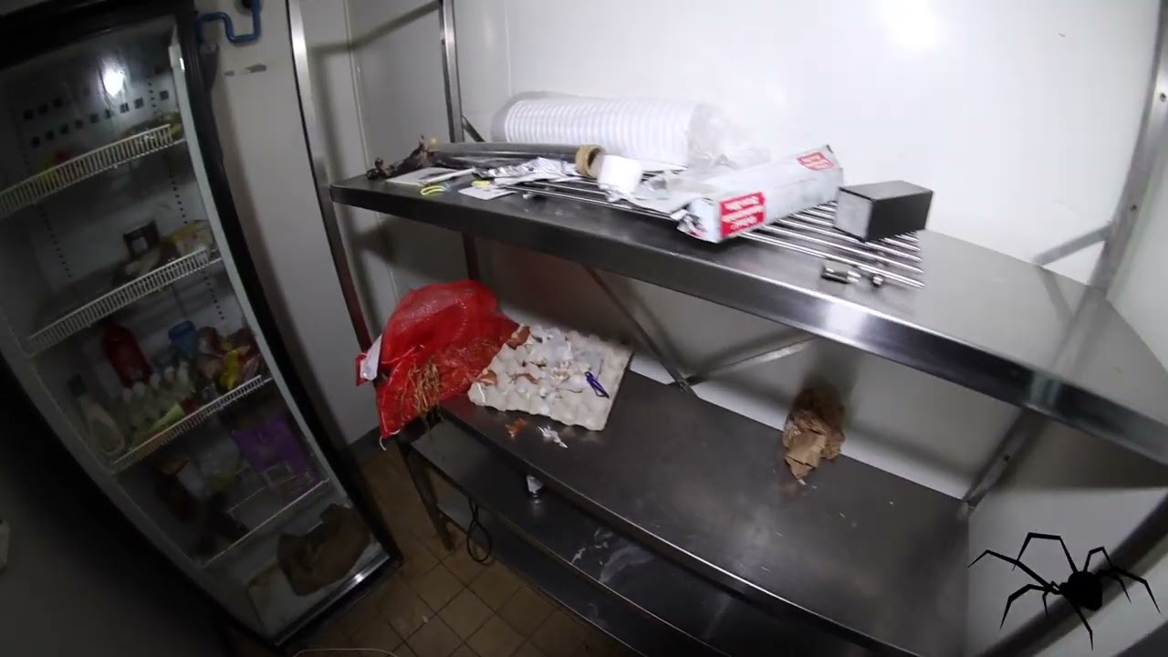 Det övergivna badhuset