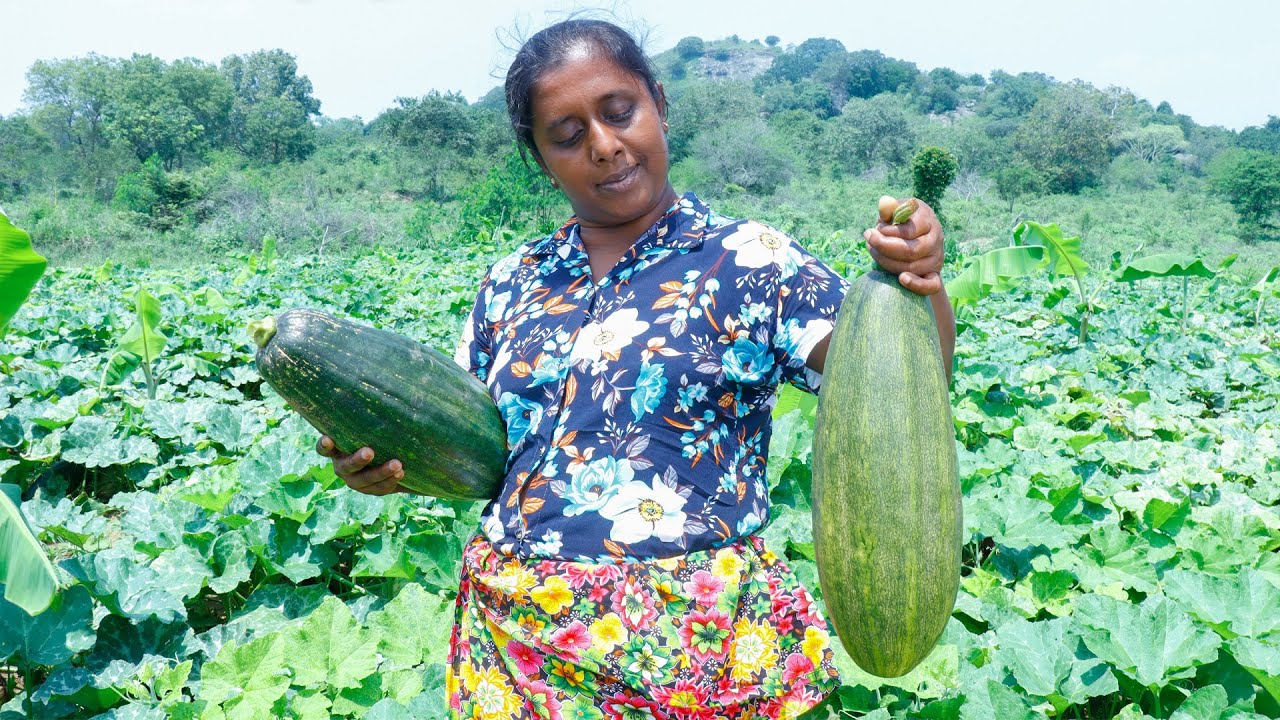 Our home-made traditional pumpkin curry..( A healthy meal)..village kitchen recipe