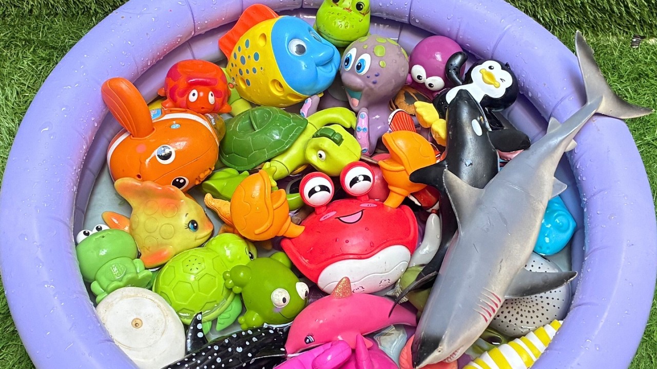 Ocean Animals for Kids: Learn Names, Facts & Educational Sea Toys for Toddlers!