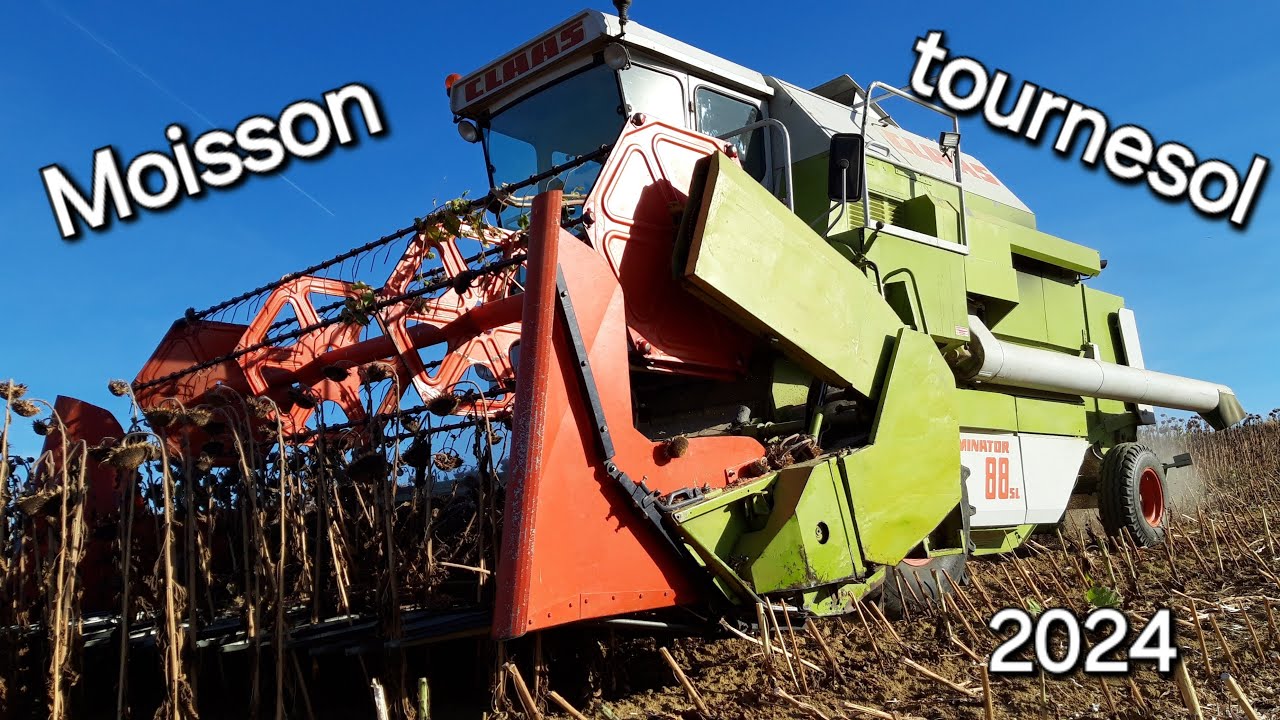 🌻Moisson tournesol 2024🌻
