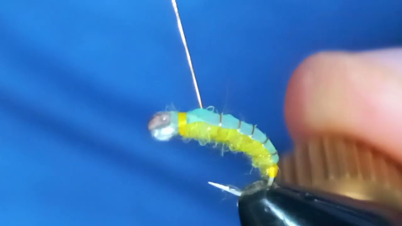 "Осенний шитик" - Личинка ручейника (Caddis larva)