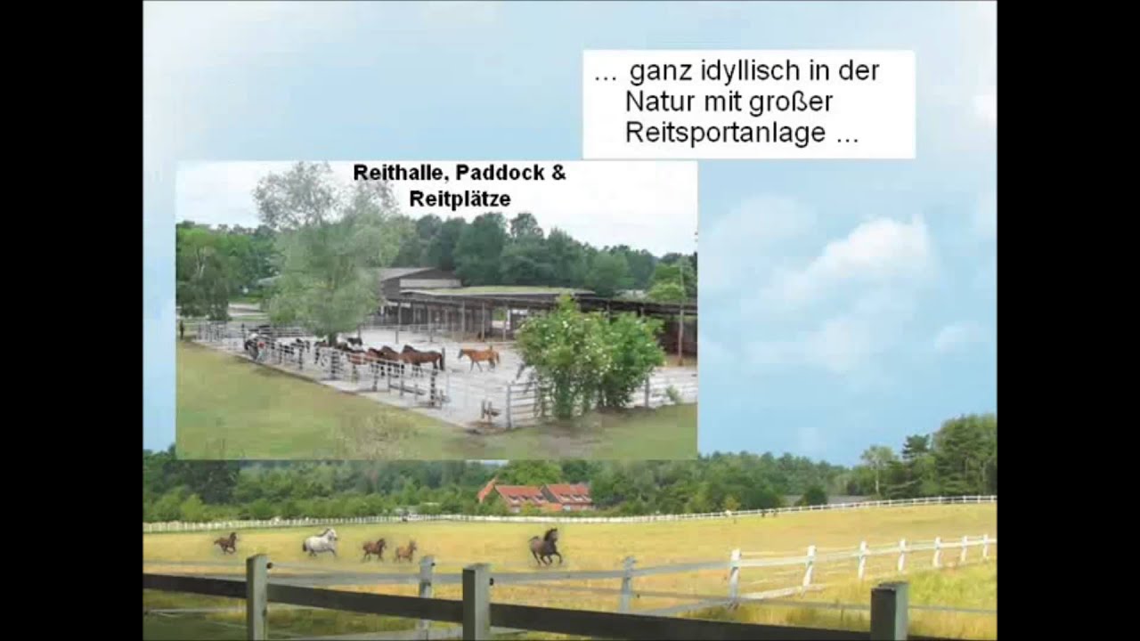 Leben und Wohnen mit Pferden - neuer Bebauungsplan f&uuml;r Pferdefreunde