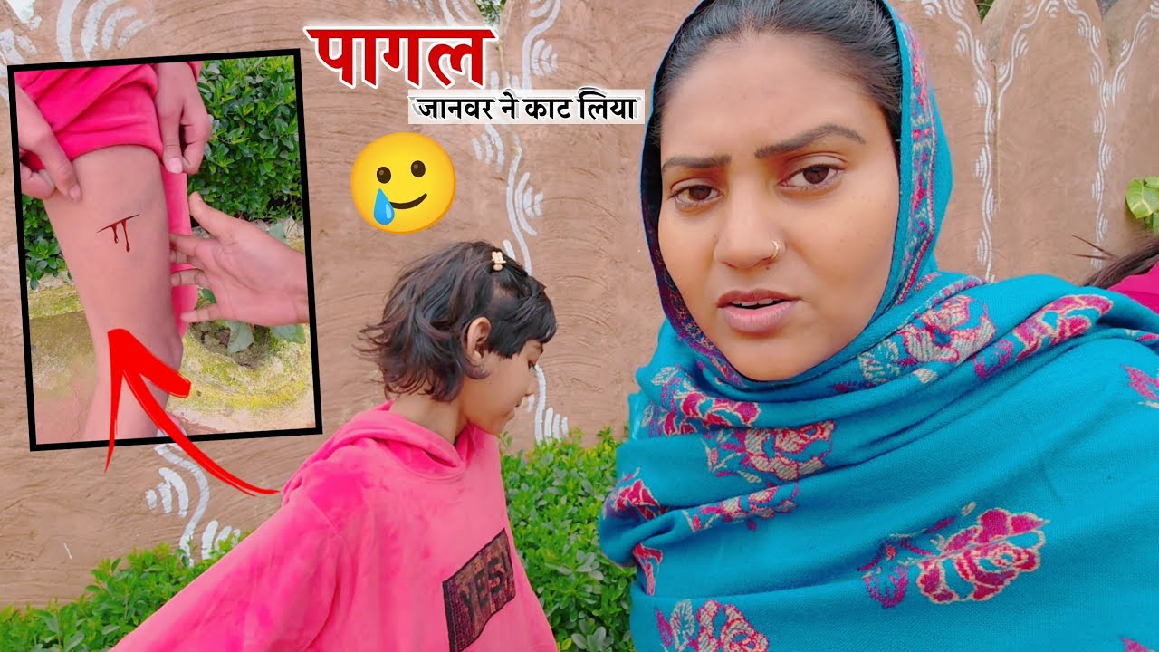 पागल जानवर ने किया हमला || Shivani kumari 