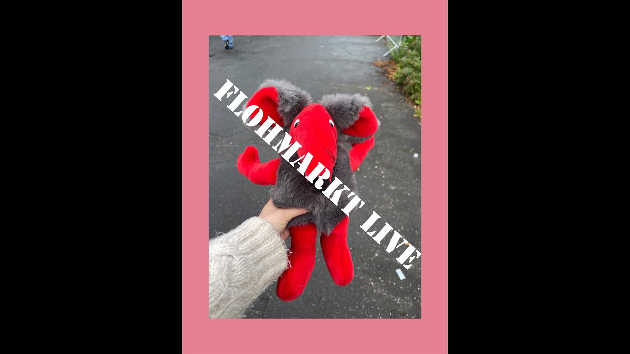 Flohmarkt Live, hab tatsächlich den Zonk gezogen, Luxusmarken auf dem Ramschmarkt?