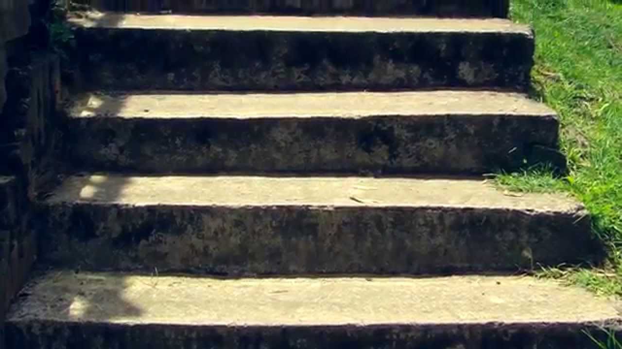 Instrucciones para subir una escalera - Julio Cortazar