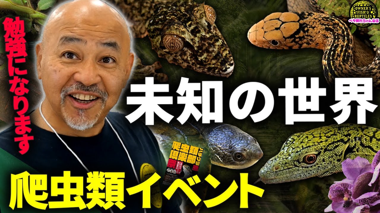 初の爬虫類イベントが楽しすぎた...【ハチクラ祭】