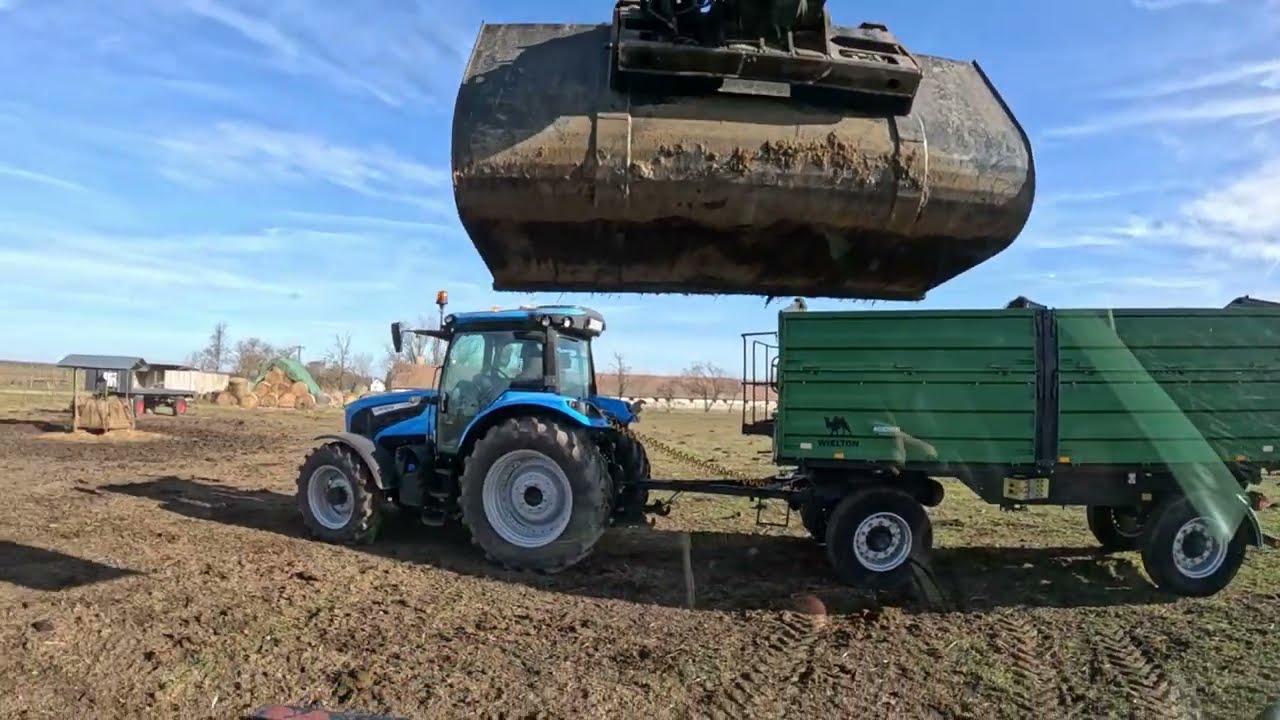 Trágyahordás! Landini 6-145 RS/ John Deere 3200/ Wielton / Angus/