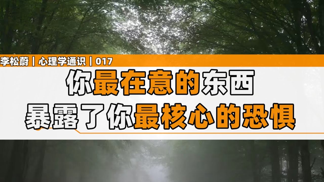 人生主题：积极补偿一定比消极回避更好吗？｜心理学通识017｜李松蔚