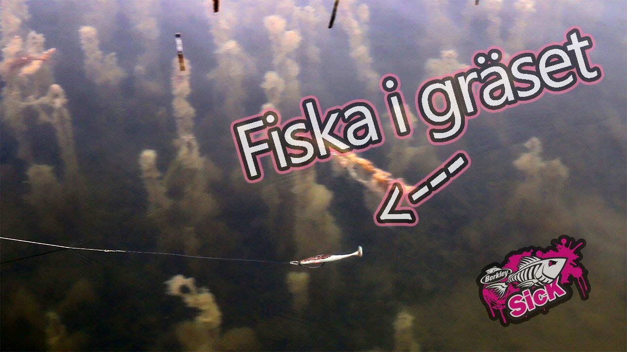 Grunt x Vasskyddat x Sakta - BRA JIGG!