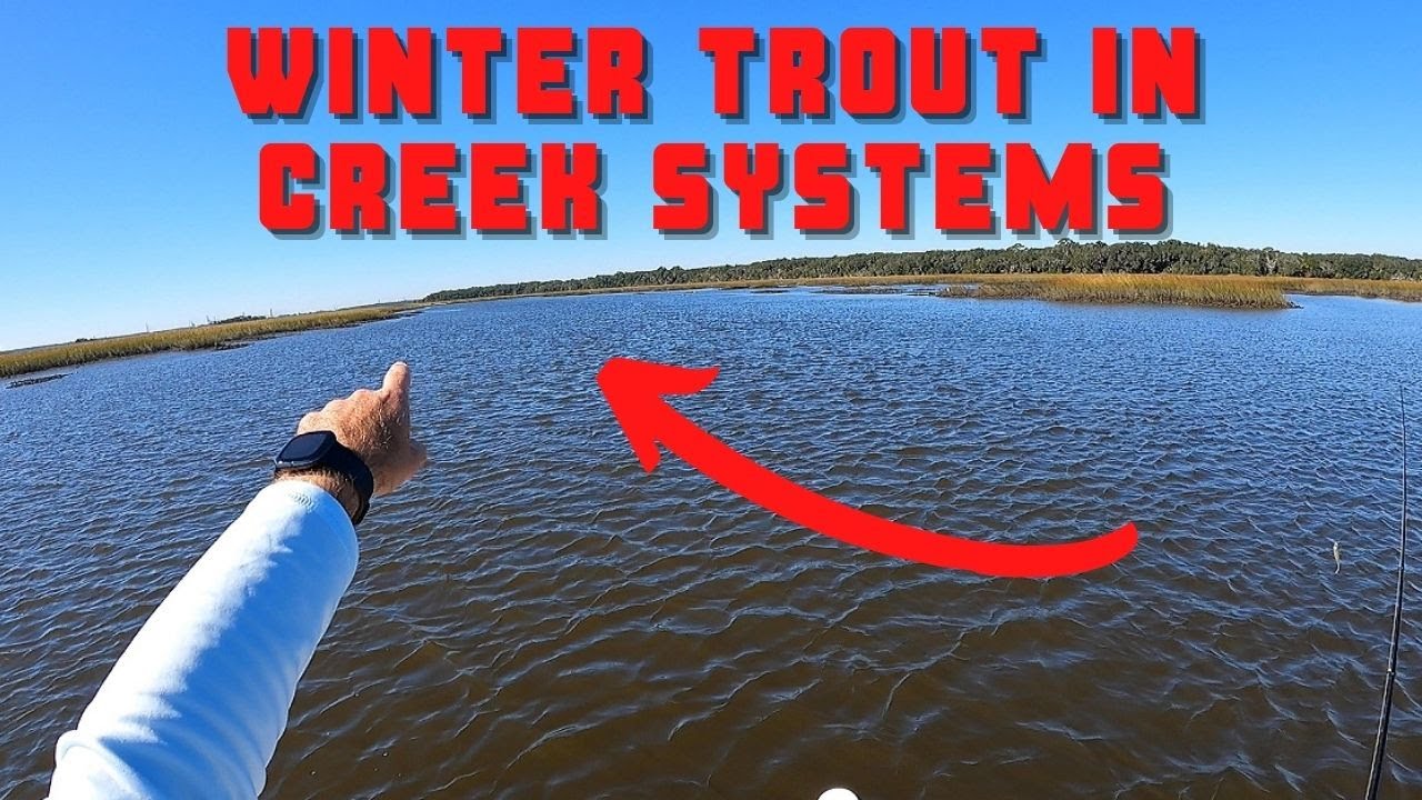 Catching Winter Trout In Creek Systems [Tactics & Tips]