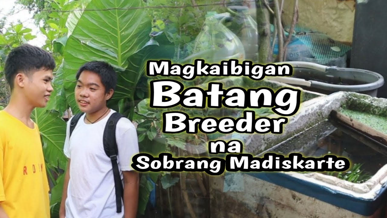 Mga Batang Breeder na naglalako ng isda nila sa Palengke😱Teknik nila at pagsilip sa mini farm nila