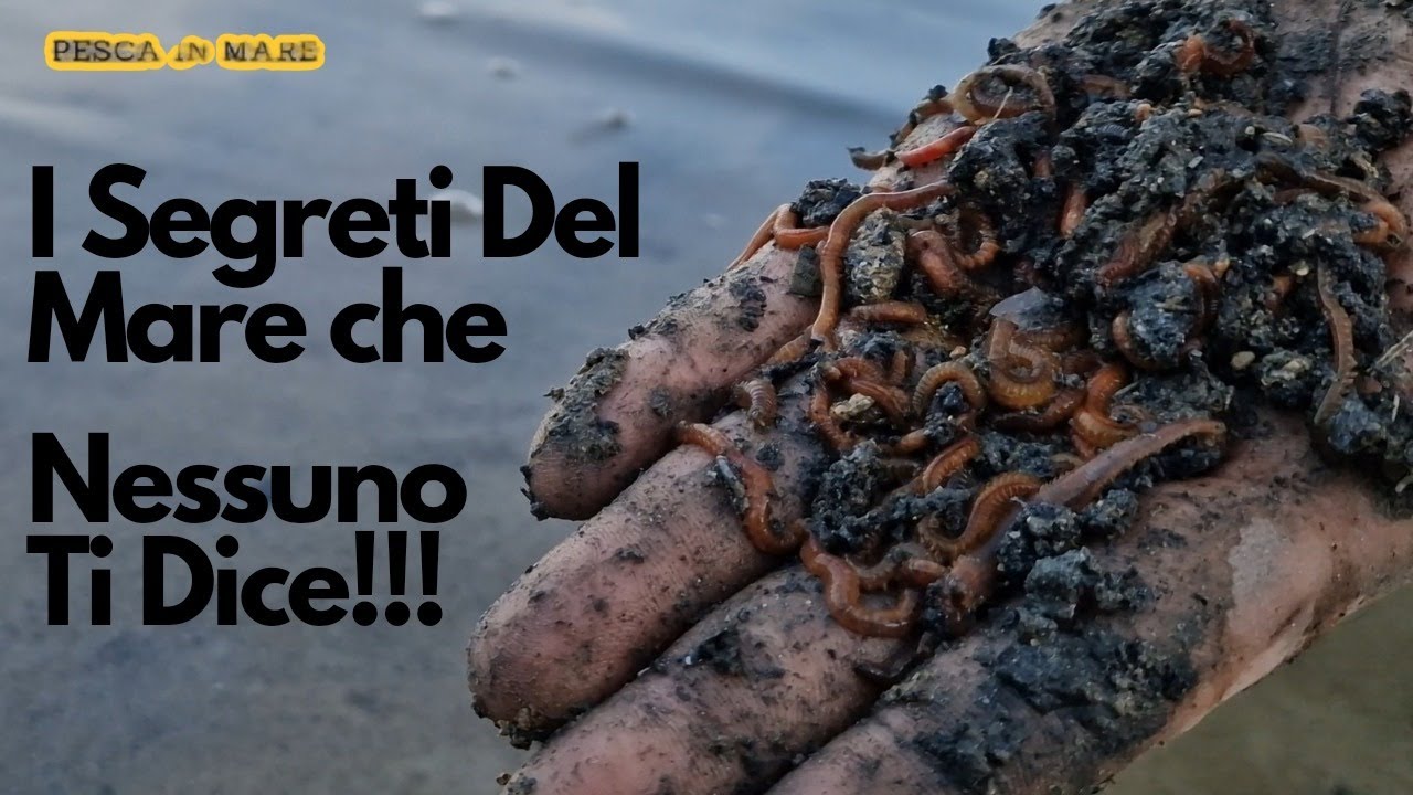 il vecchio pescatore ci dice come pescare gratis