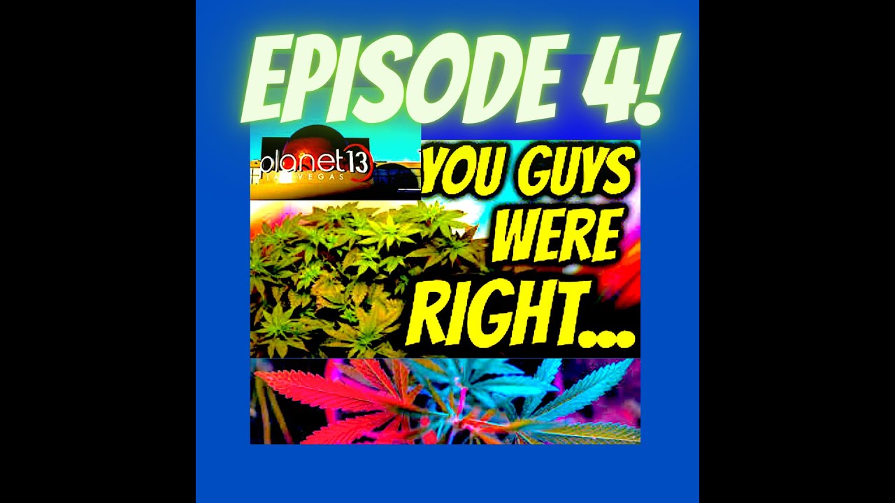 GOAT PISS New Strain available str8 killa Las Vegas Shit