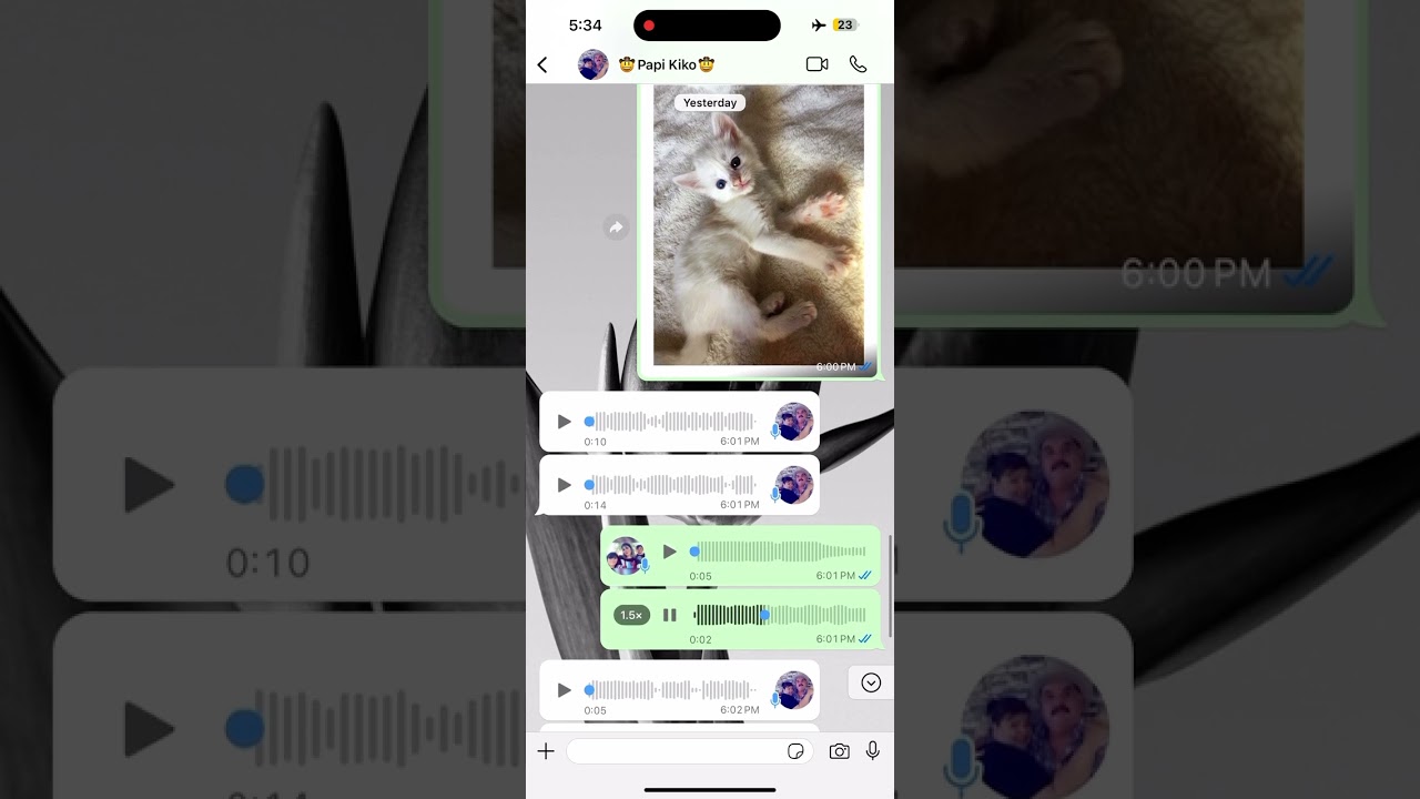 LE REGALO UN GATITO FINO