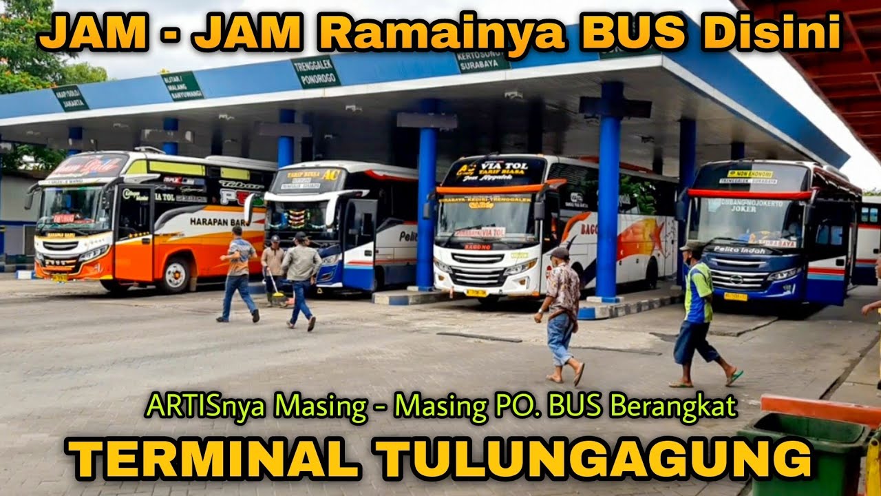 JAM - JAM Padatnya BUS Disini!! Bus ARTIS pada BERANGKAT!! TERMINAL Gayatri Tulungagung