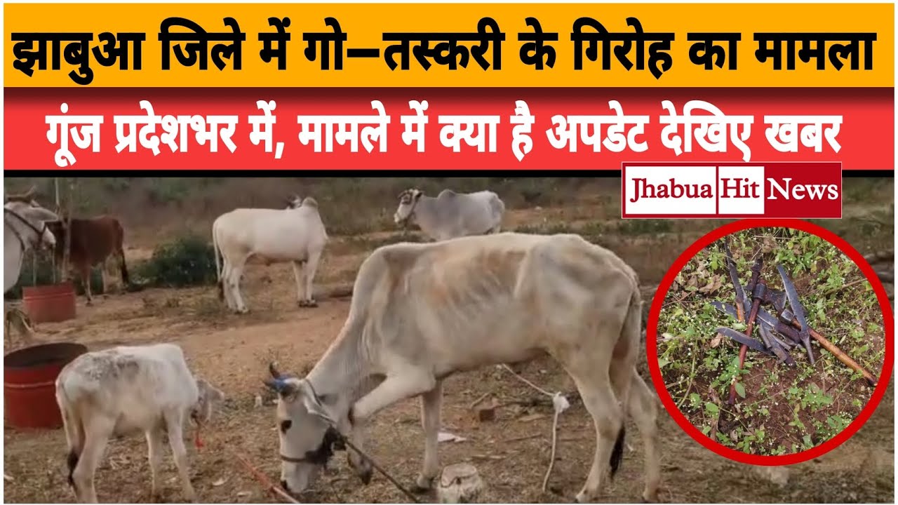 गो—तस्करी गिरोह के मामले में आया अपडेट, 9 में से 7 आरोपी गिरफ्तार,प्रशासन का बयान नहीं आया सामने