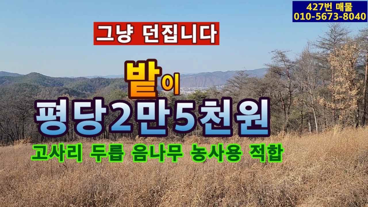 ( 427번 매물)밭이 평당 2만5천원.고사리 두릅 음나무 농사 최적지.양봉장 가능.염소사육 가능.외지인 생활하기 좋은 배짱 편한 곳.대형차량 통행 가능한 임도 접.전망 좋은 위치