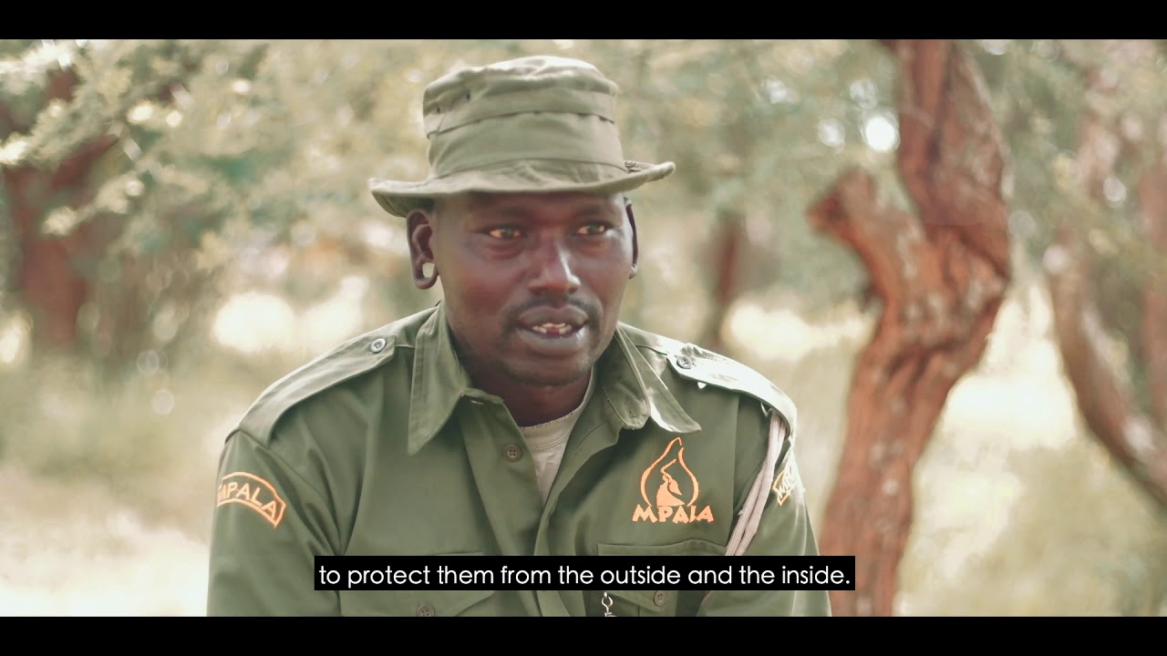 A short film by Princeton University students about Rangers