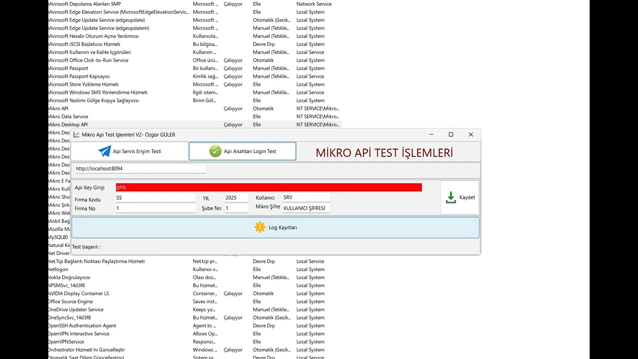 Mikro API Servis Test ve Kurulum Uygulaması – Ücretsiz Yardımcı Araç