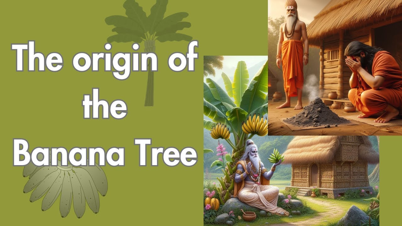 The Enigmatic Tale of Rishi Durvasa and the Banana Tree
